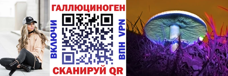 мориарти Telegram Горбатов Галлюциногенные грибы Cubensis сколько стоит
