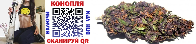 kraken как зайти  Горбатов  Бошки марихуана индика  сколько стоит 